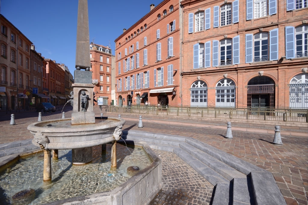Toulouse-Rue piétonne commerçante à Toulouse